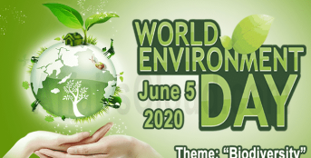 Biodiversity is the theme for World Environment Day 2020 