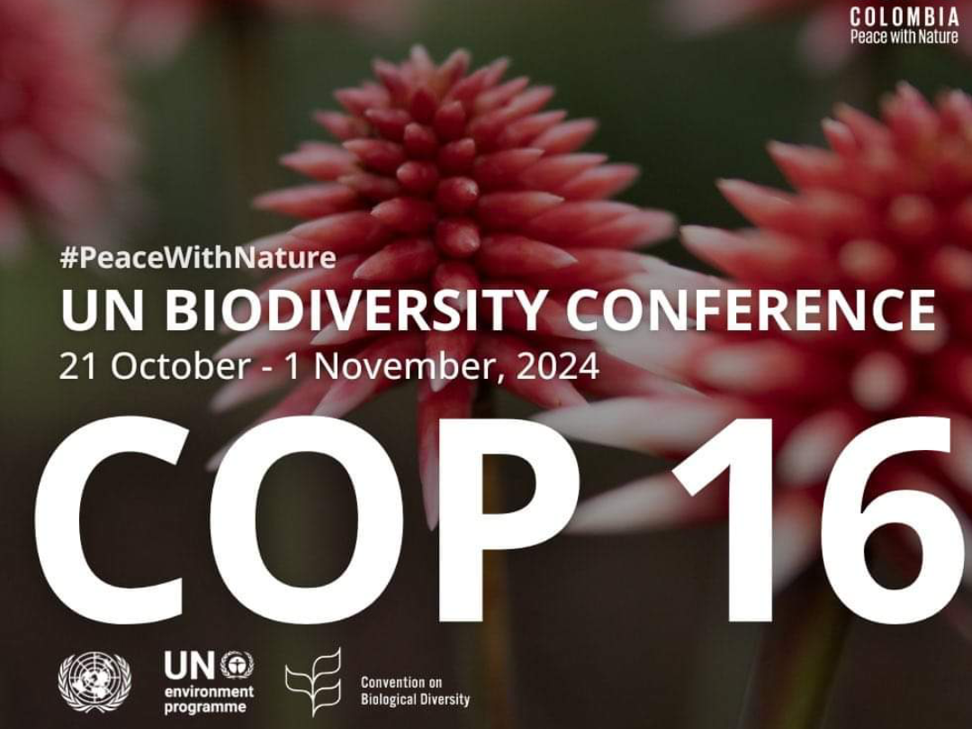 COP 16:A Milestone in Global Biodiversity Action and RCMRD’s Role