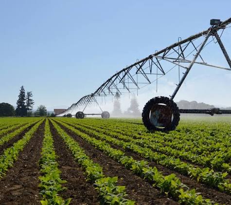 Earth Observation for Irrigation Mapping (IrrEO)