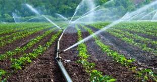 Earth Observation for Irrigation Mapping (IrrEO)